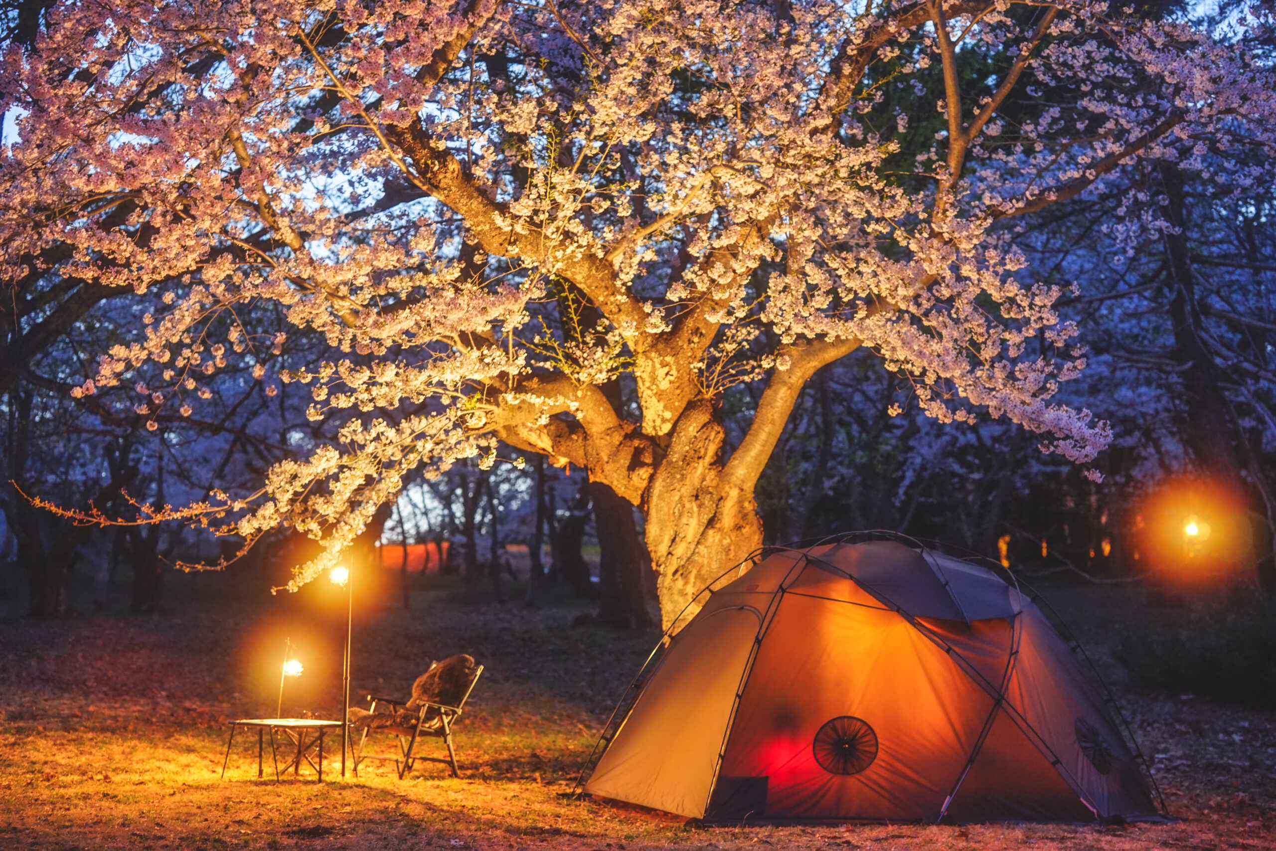 桜林公園