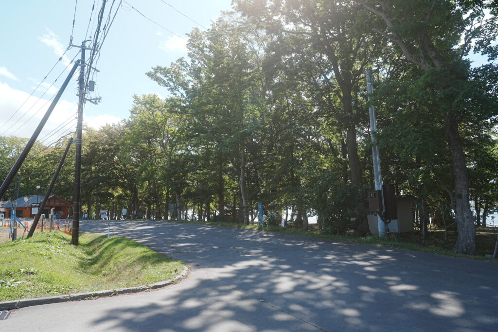 仲洞爺キャンプ場・道路