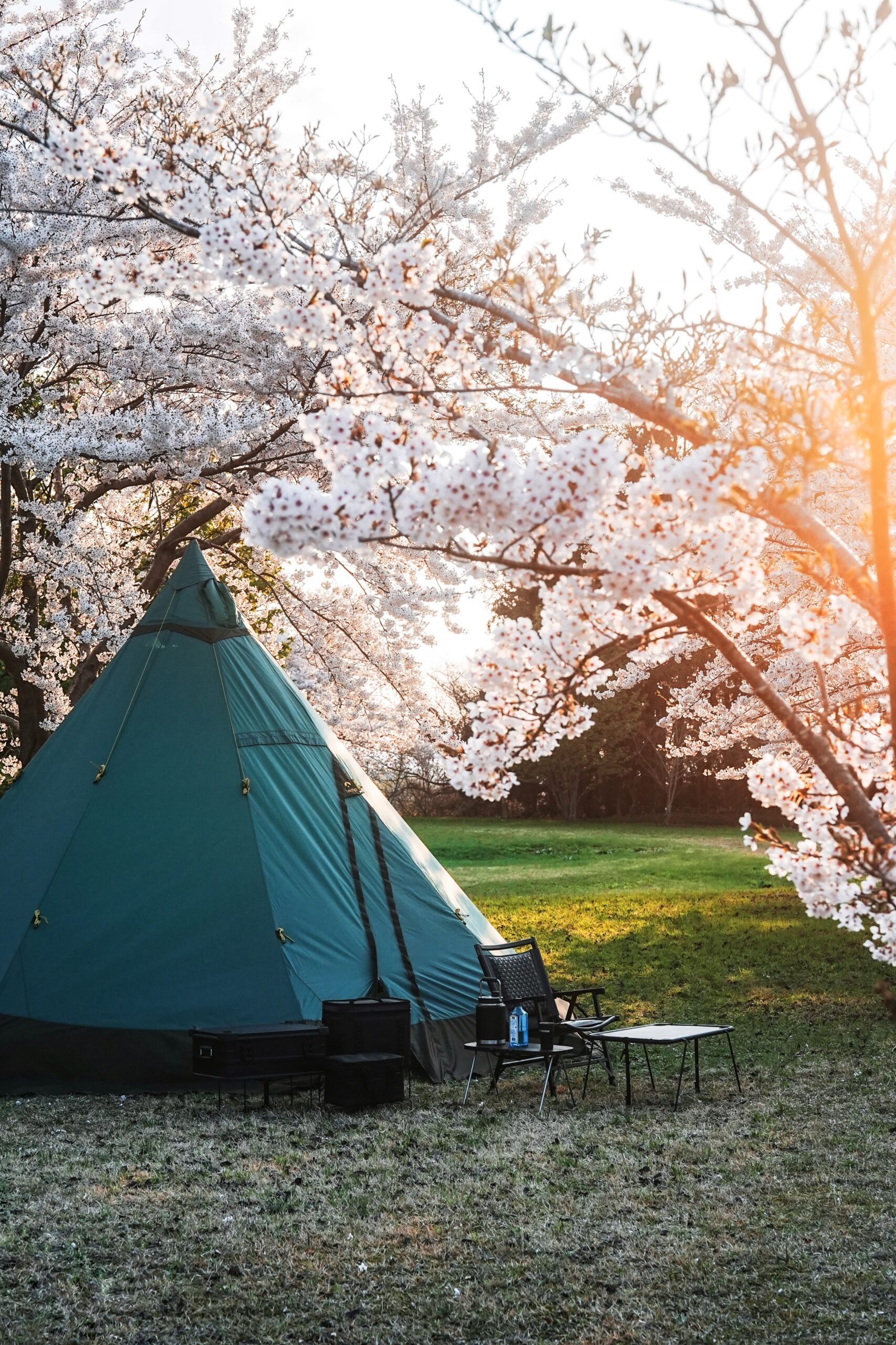 芦野公園オートキャンプ場4