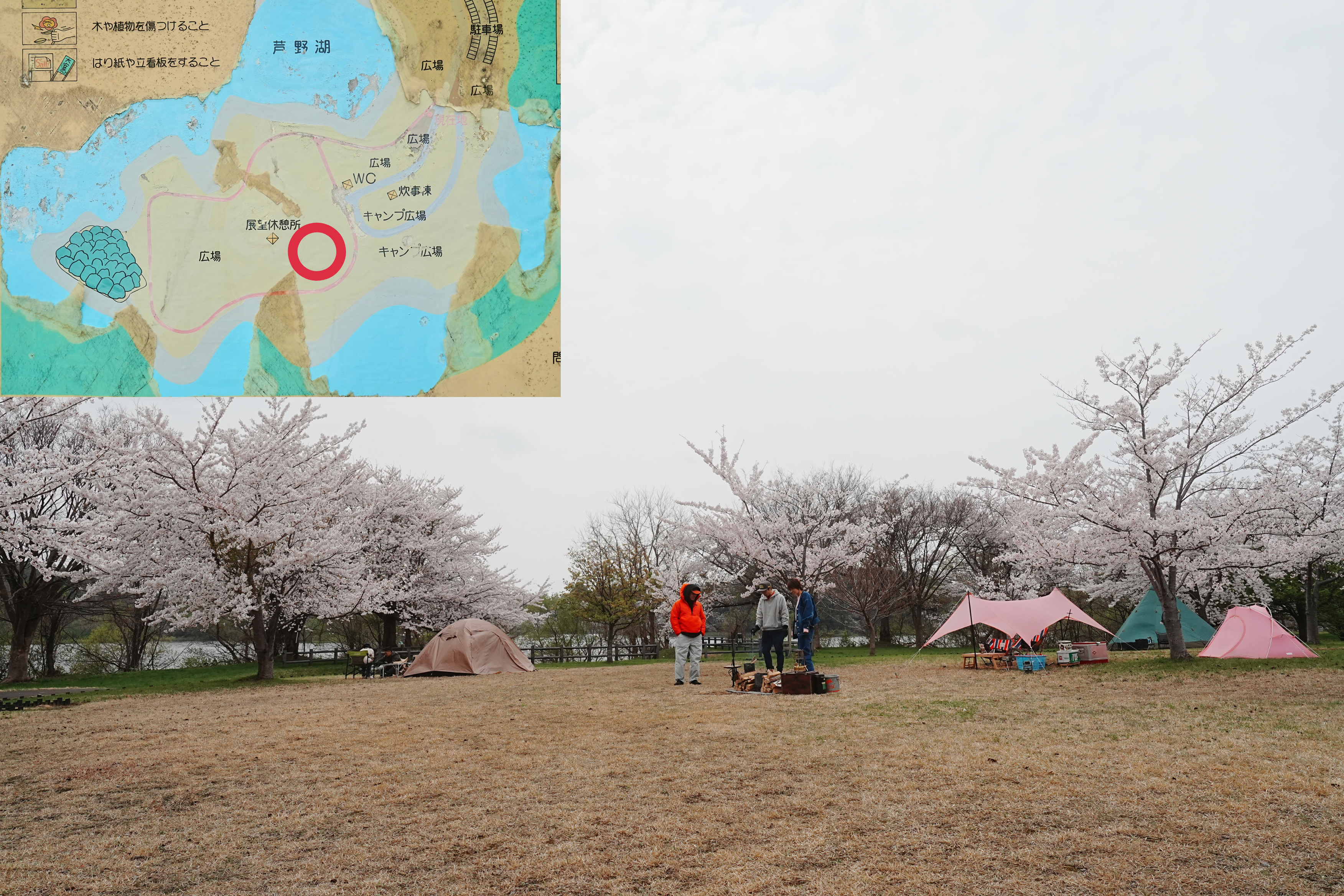 芦野公園フリーサイト9