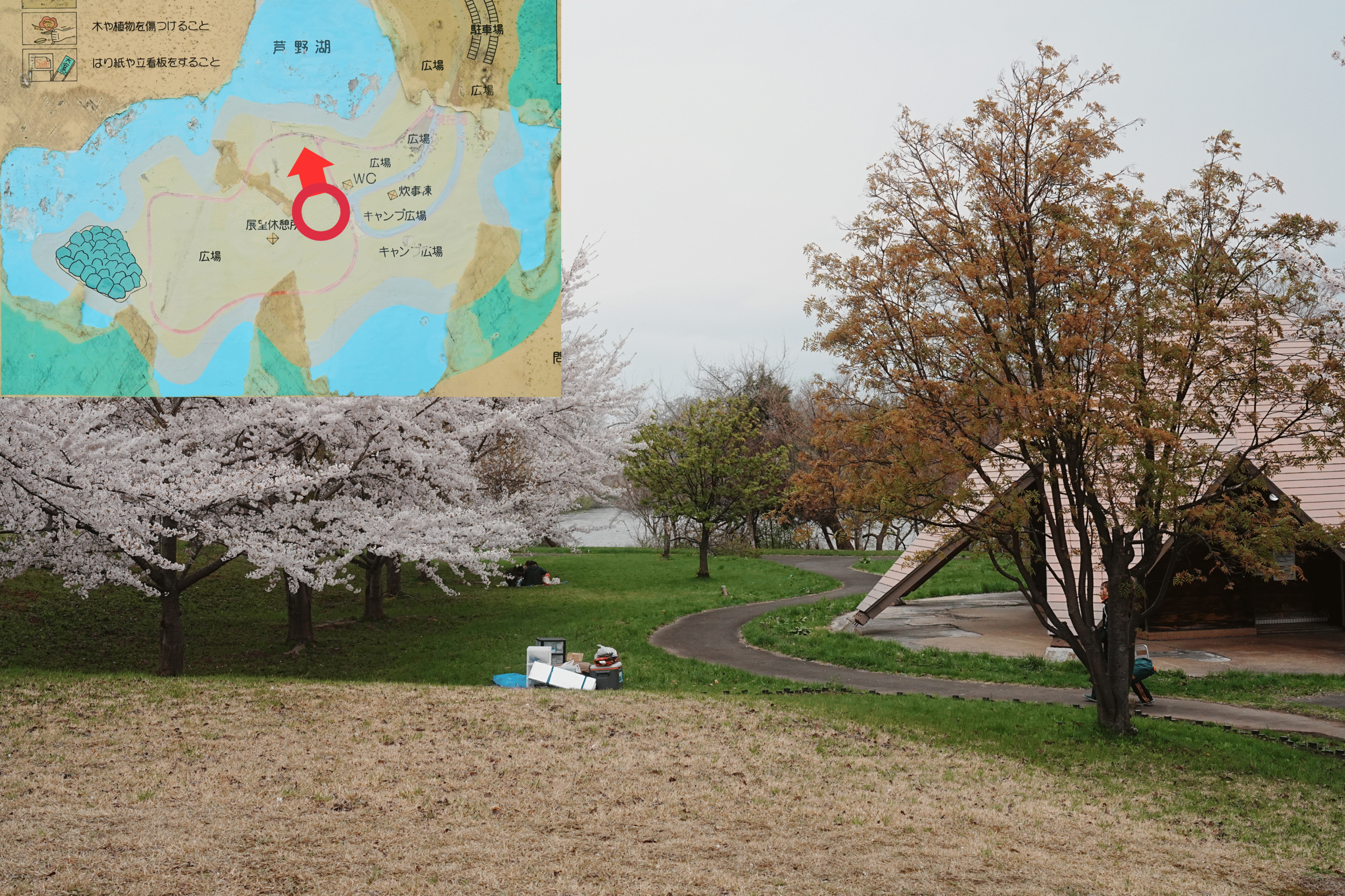芦野公園フリーサイト11