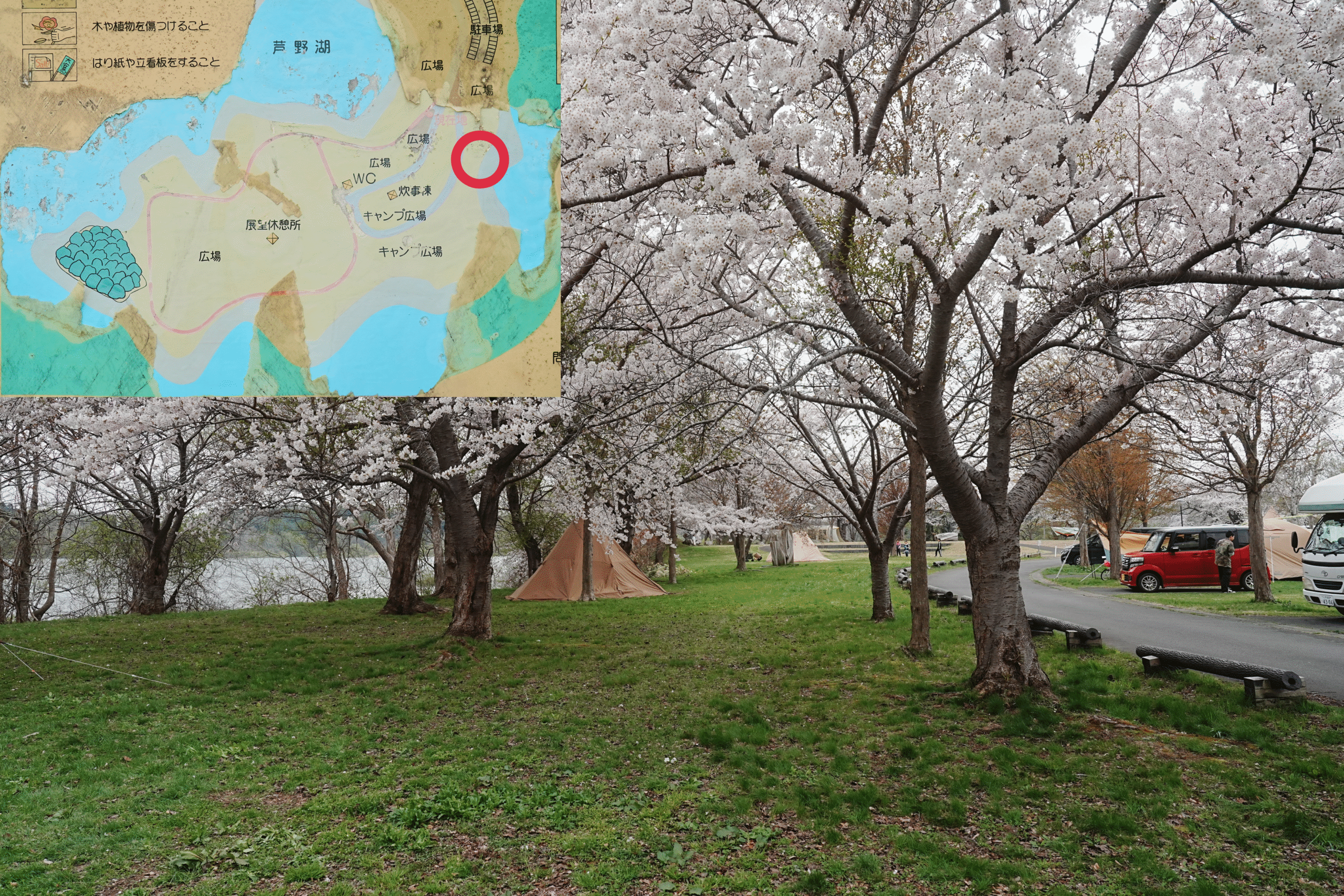芦野公園フリーサイト5