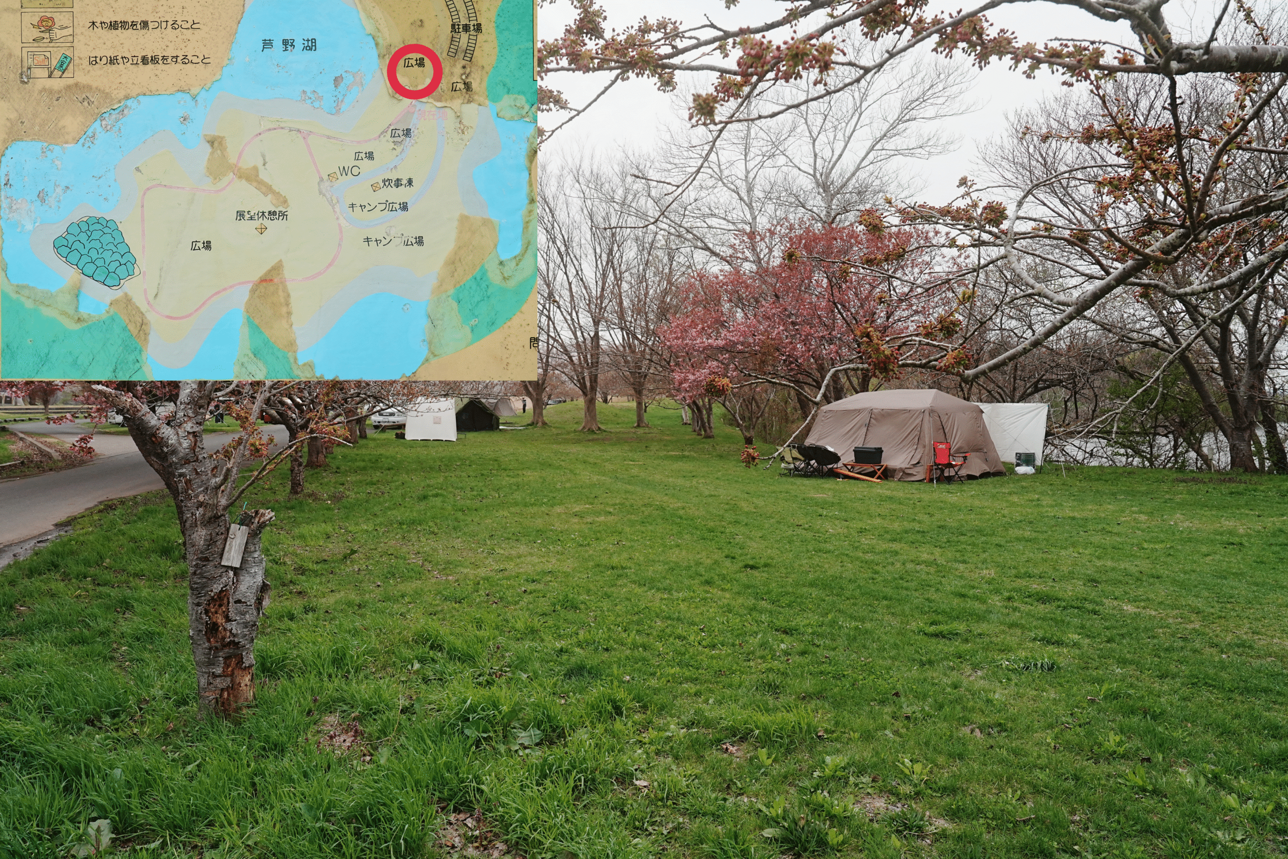 芦野公園フリーサイト3