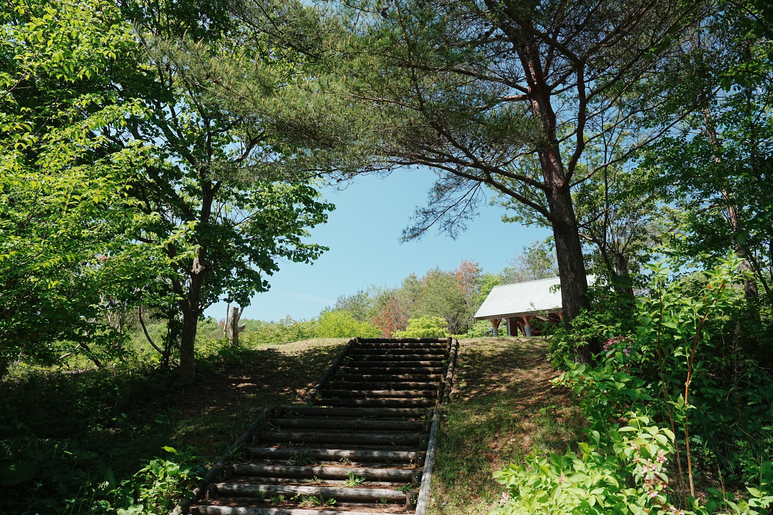 秋田県立中央公園ファミリーキャンプ場・第3サイト階段