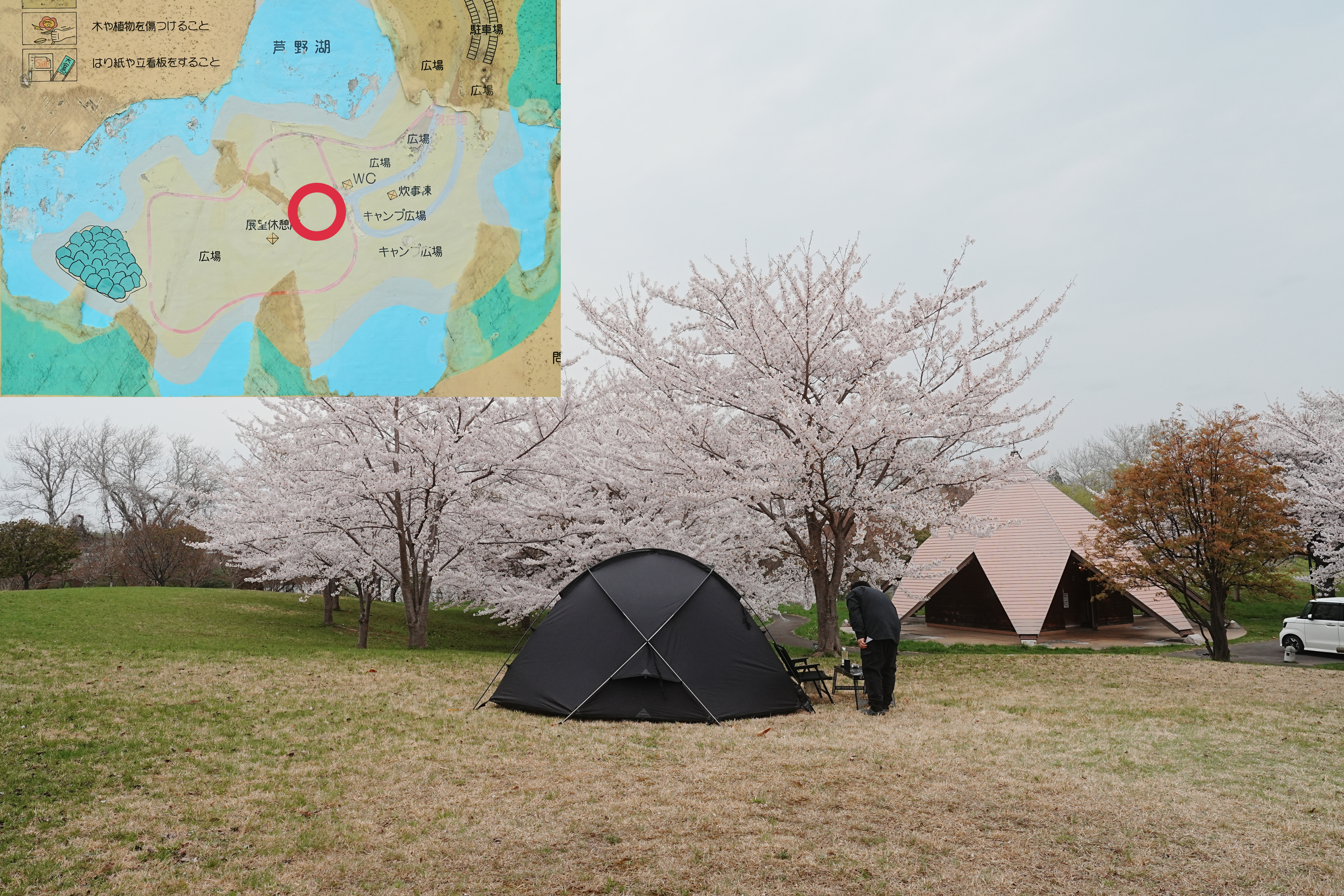 芦野公園フリーサイト10