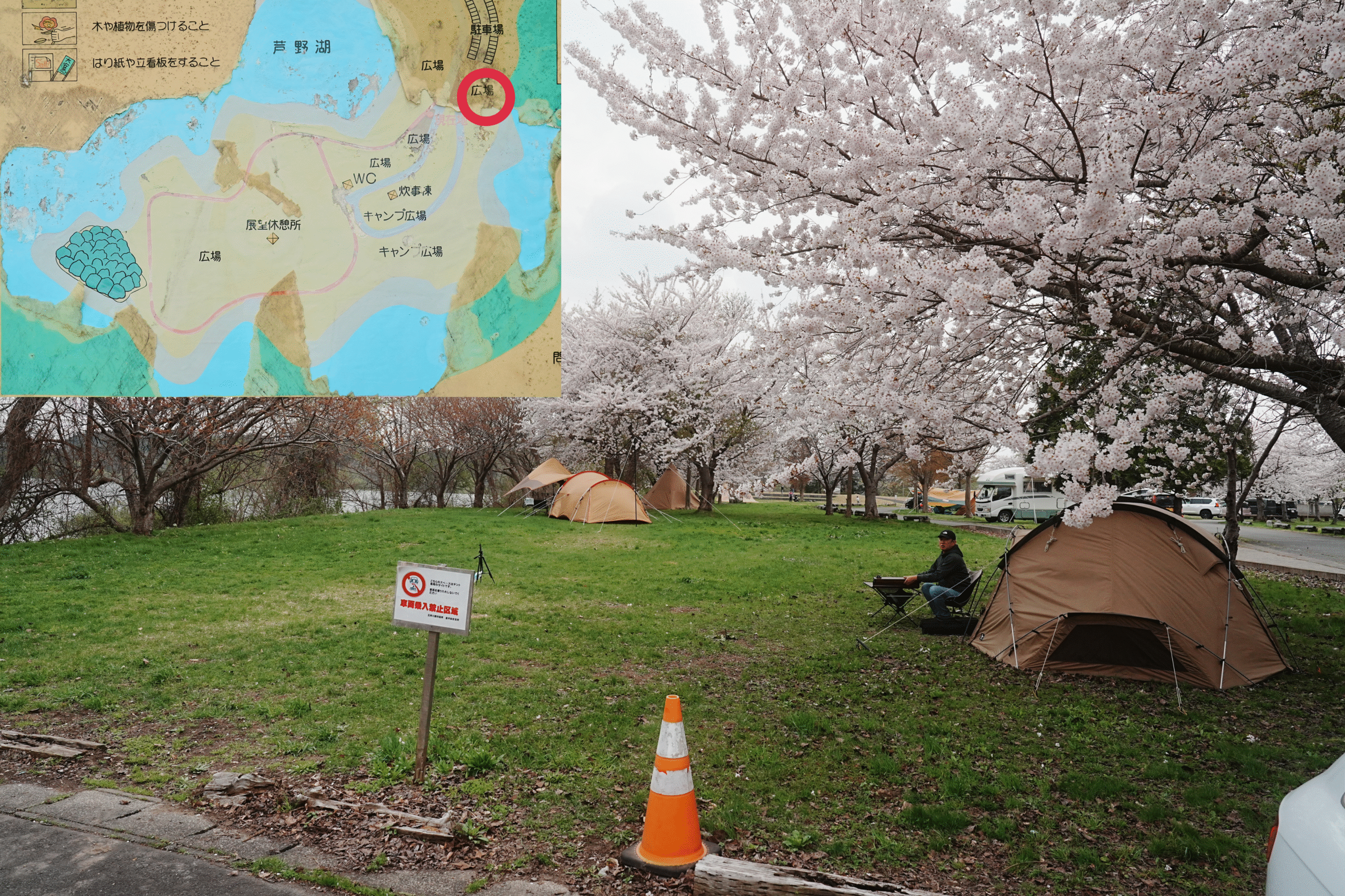 芦野公園フリーサイト4