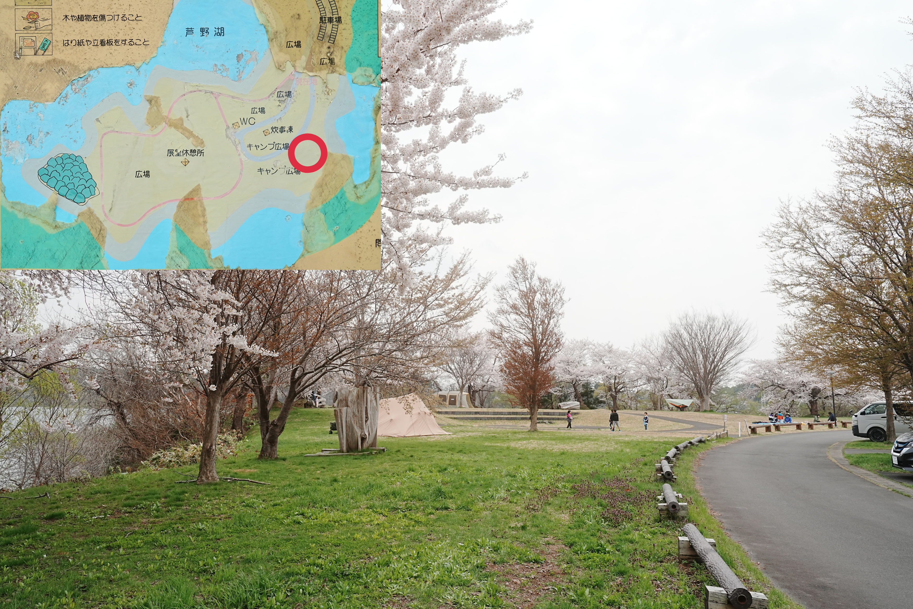 芦野公園フリーサイト6