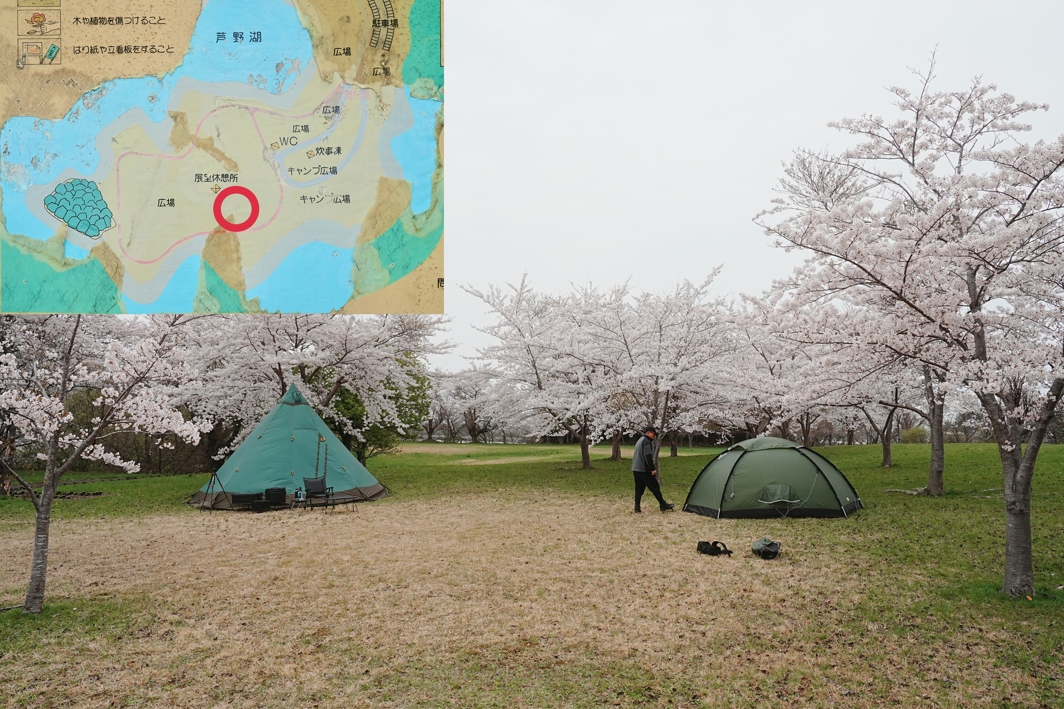 芦野公園フリーサイト12