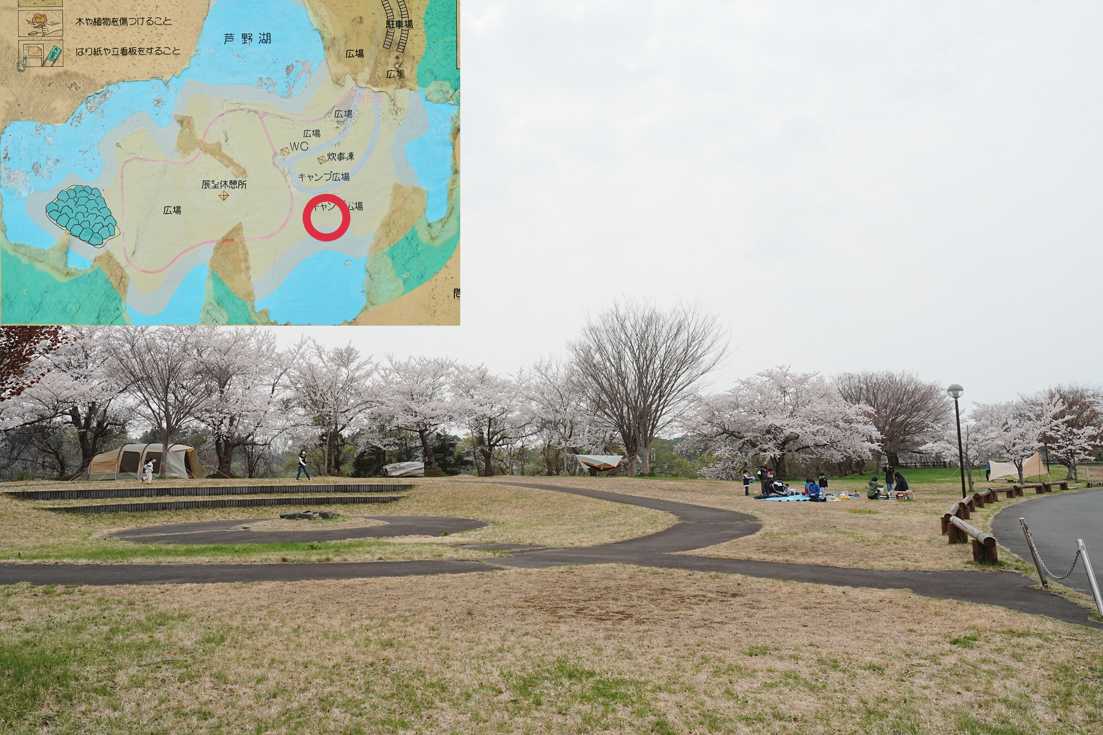 芦野公園フリーサイト7