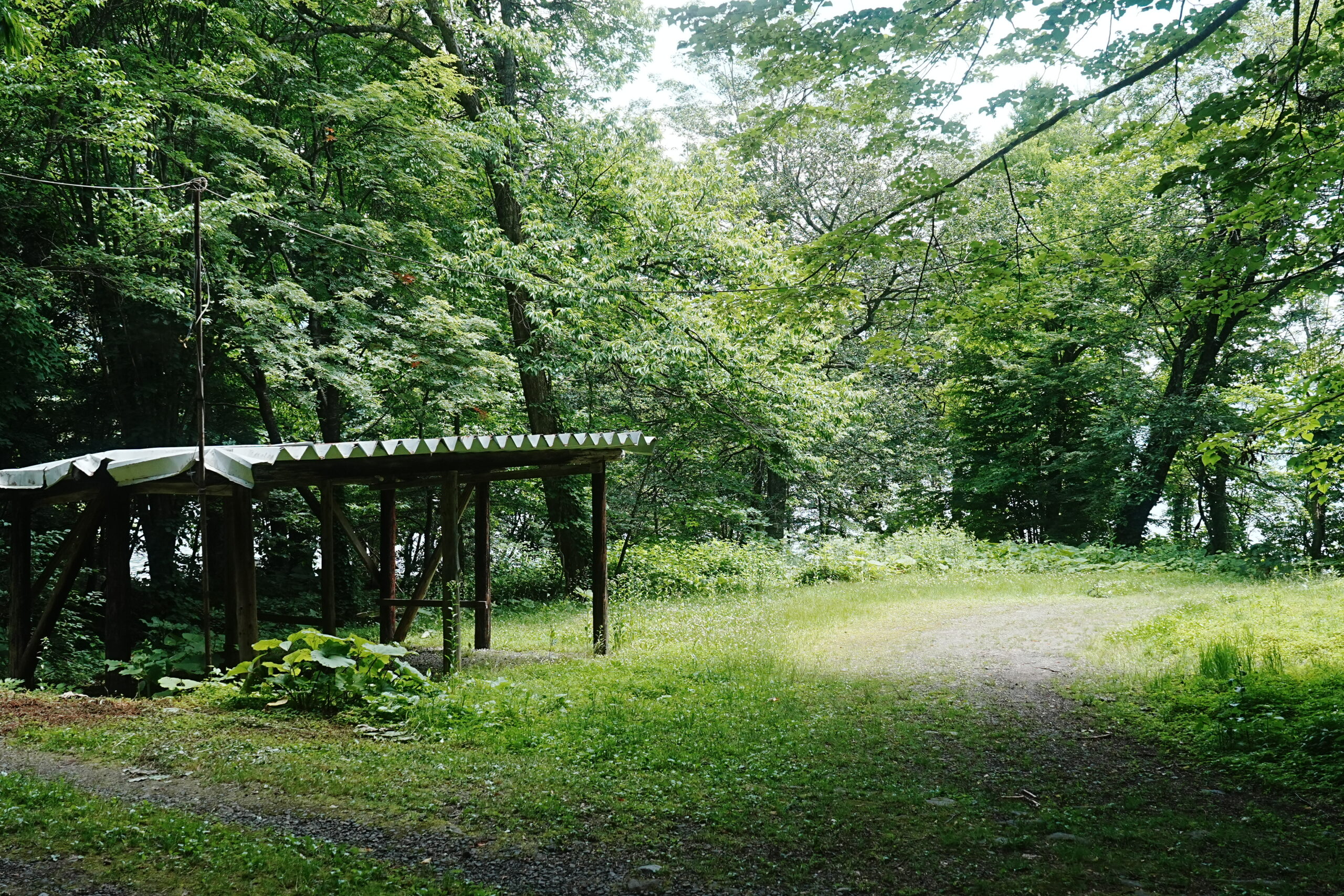 滝ノ沢野営場・通路5