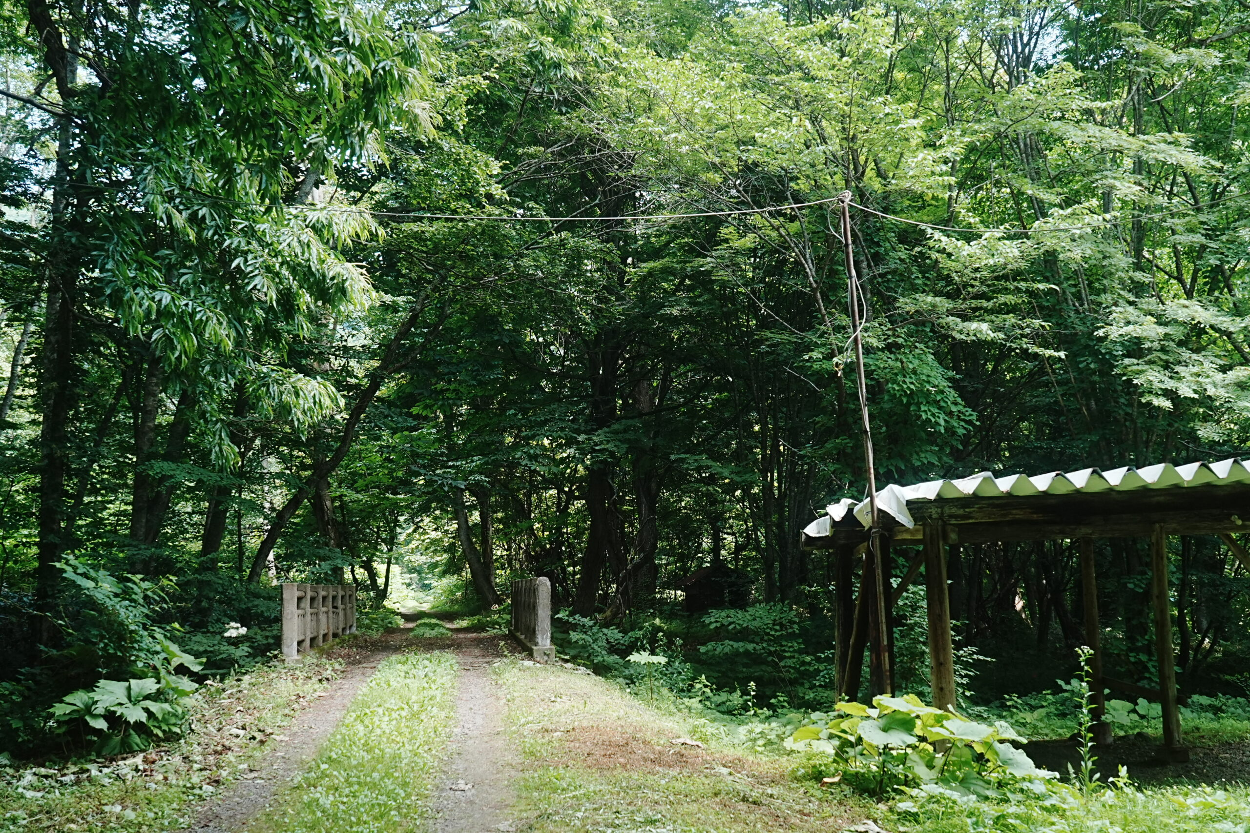 滝ノ沢野営場・通路4