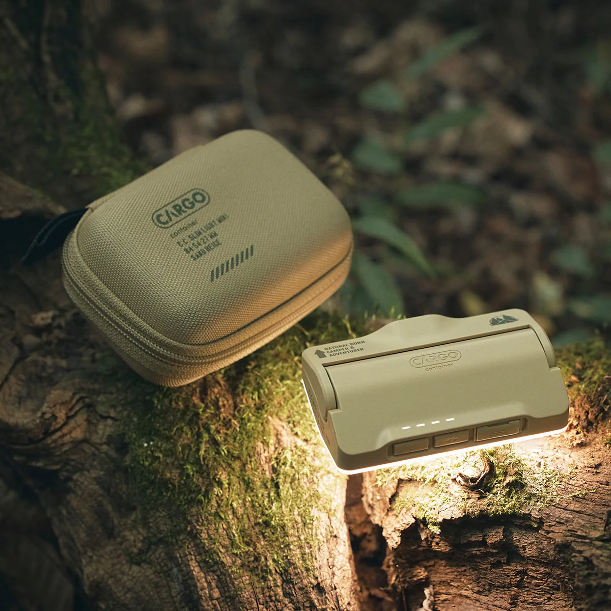 CARGO COTAINER SLIM LIGHT MINI