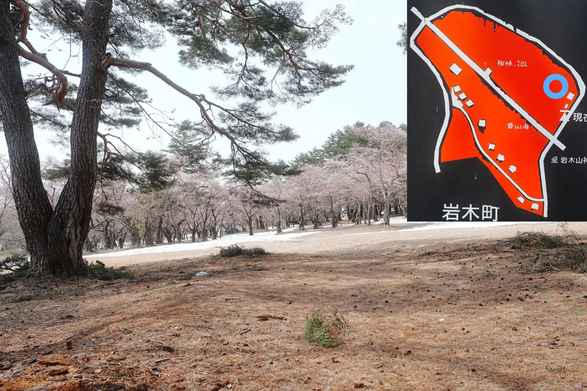 岩木山桜林公園キャンプ場　下側サイト解説４