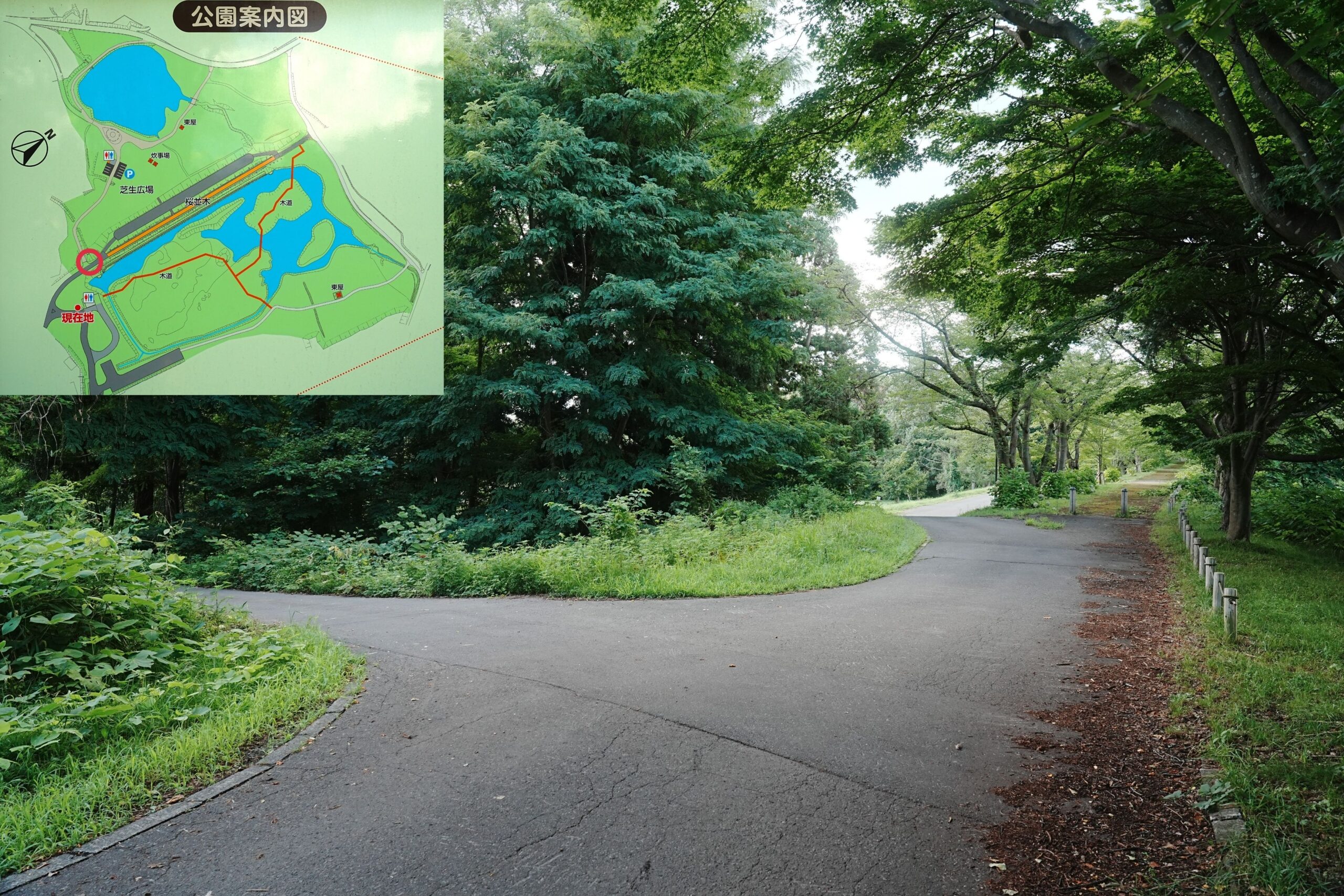 浪岡湿性花園キャンプ場・道路解説１