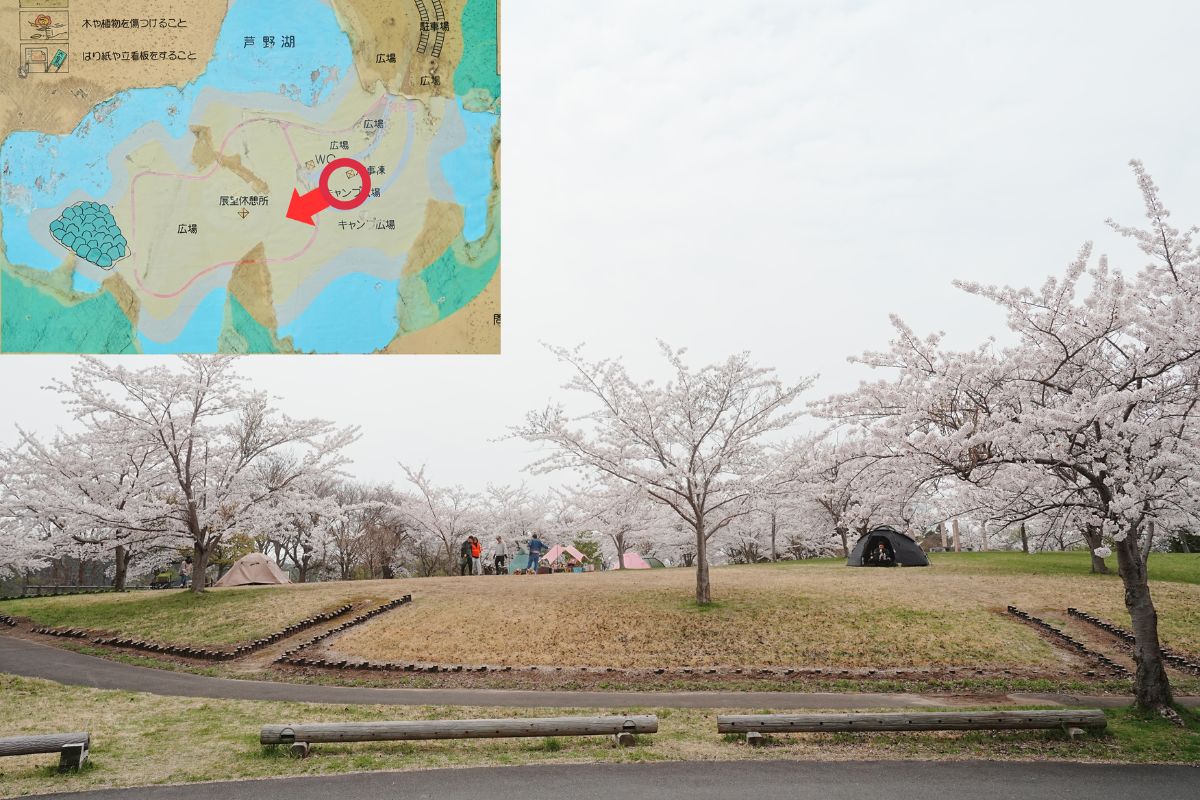 芦野公園フリーサイト解説７