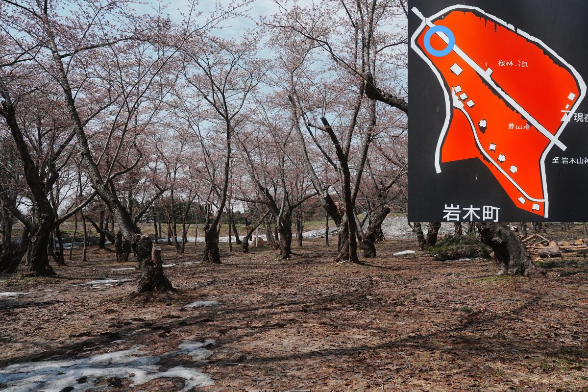 岩木山桜林公園キャンプ場・上側サイト１