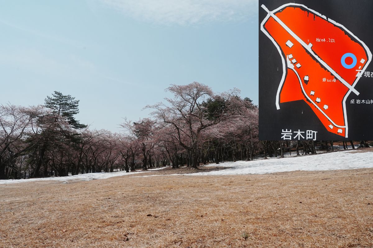 岩木山桜林公園キャンプ場　下側サイト解説５