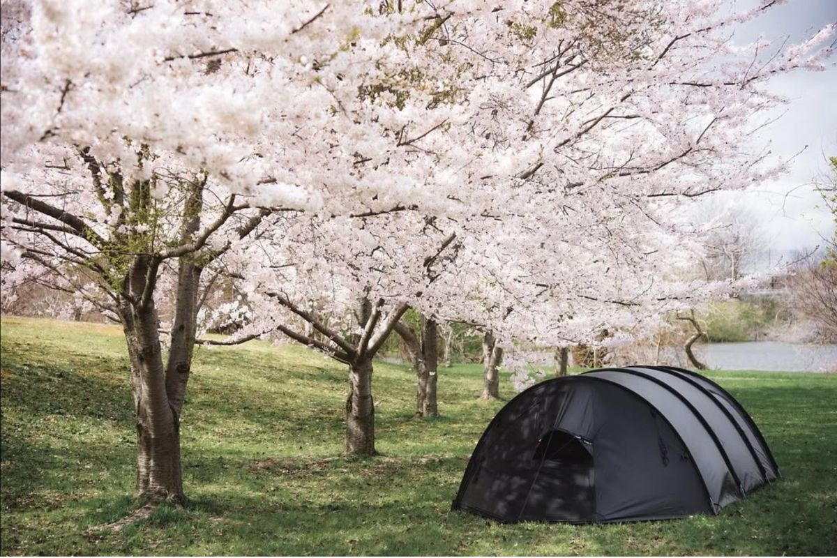 芦野公園フリーサイト解説１１