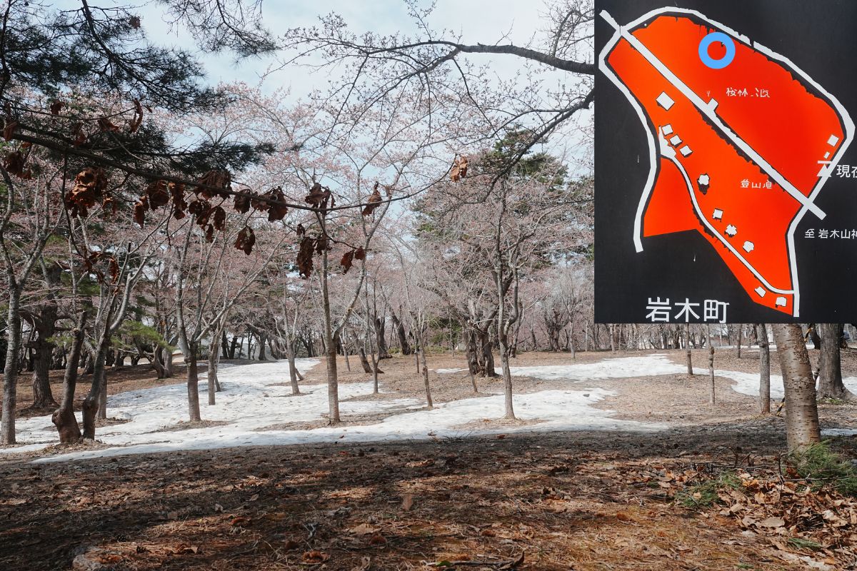 岩木山桜林公園キャンプ場・中段サイト２