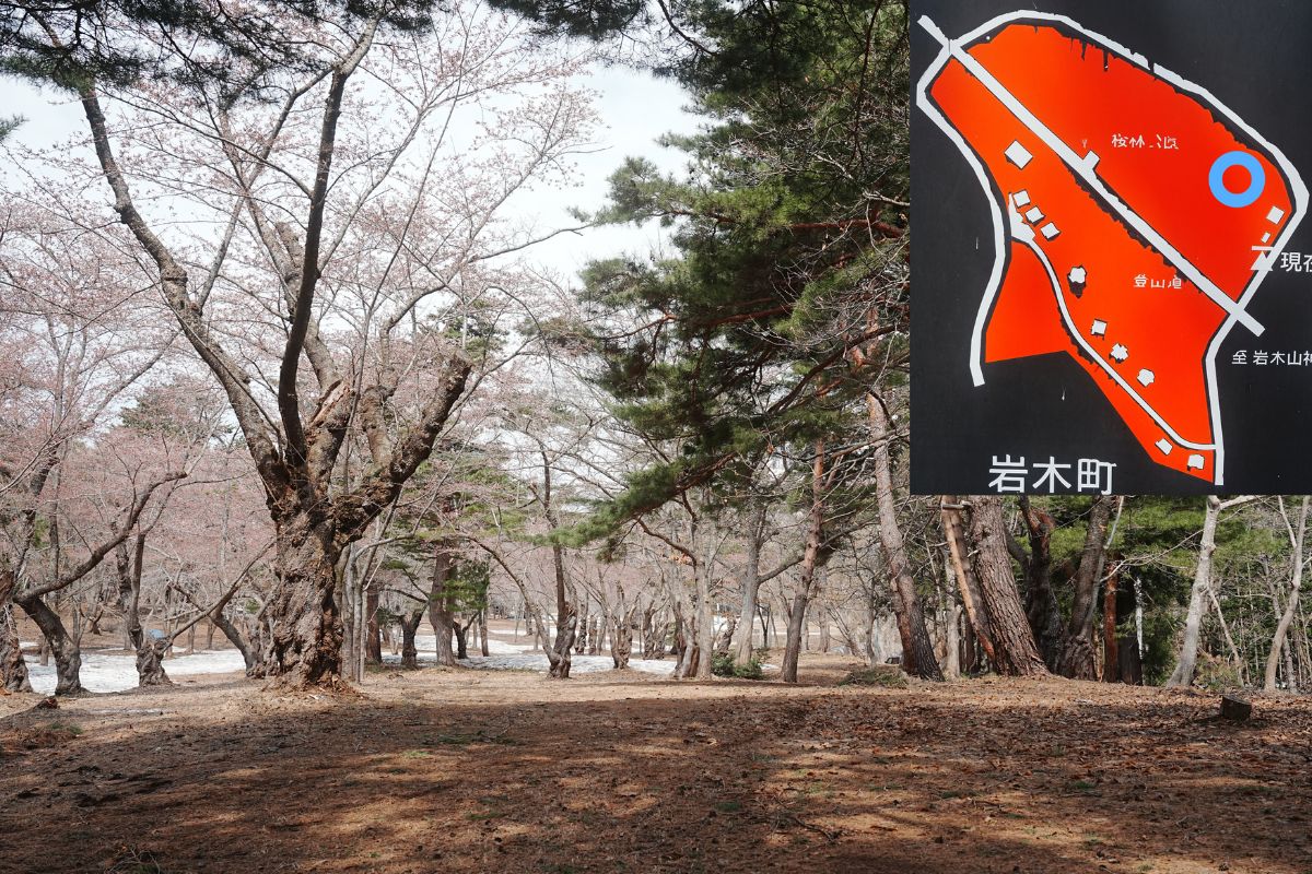 岩木山桜林公園キャンプ場　下側サイト解説３.５