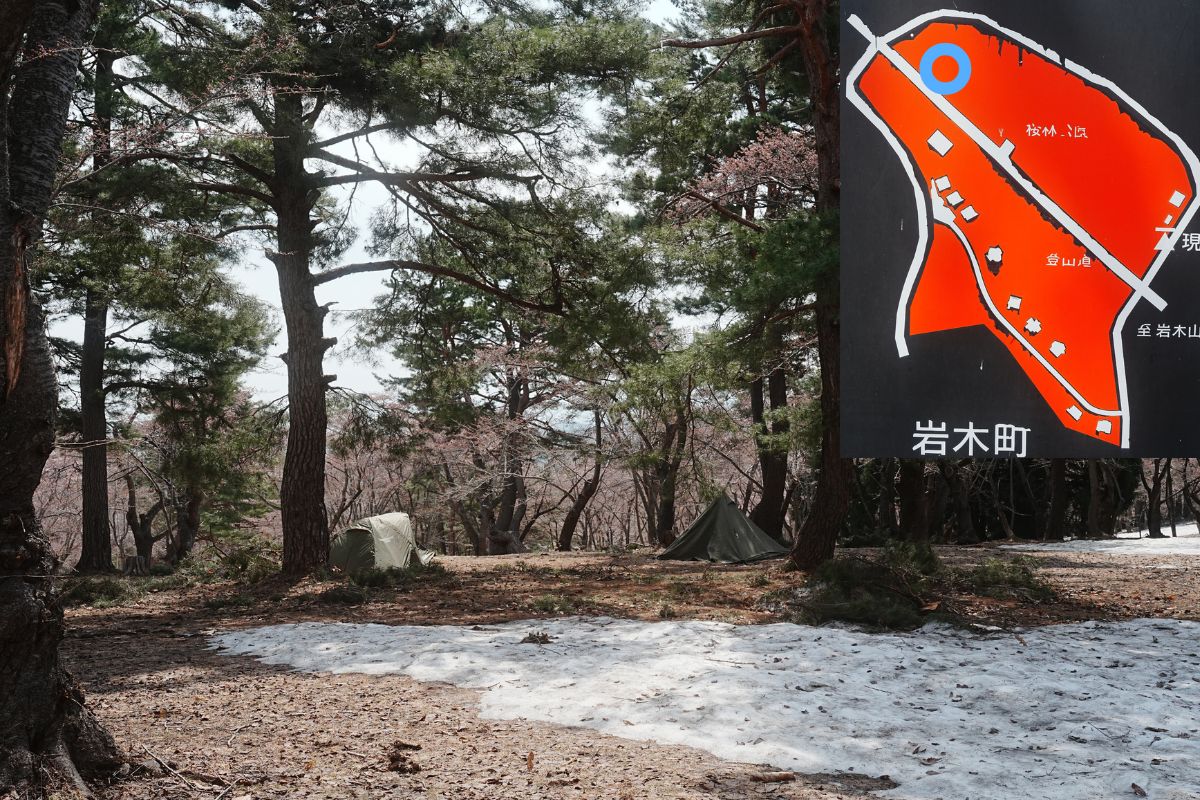 岩木山桜林公園キャンプ場・上側サイト2