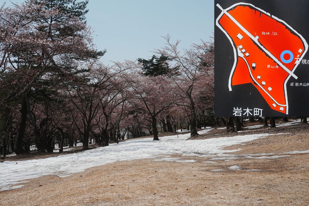 岩木山桜林公園キャンプ場　下側サイト解説６