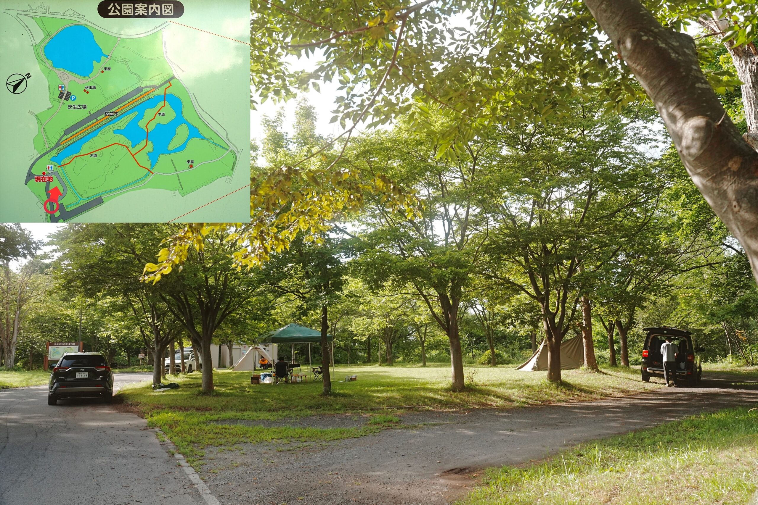 浪岡湿性花園キャンプ場・サイト解説１