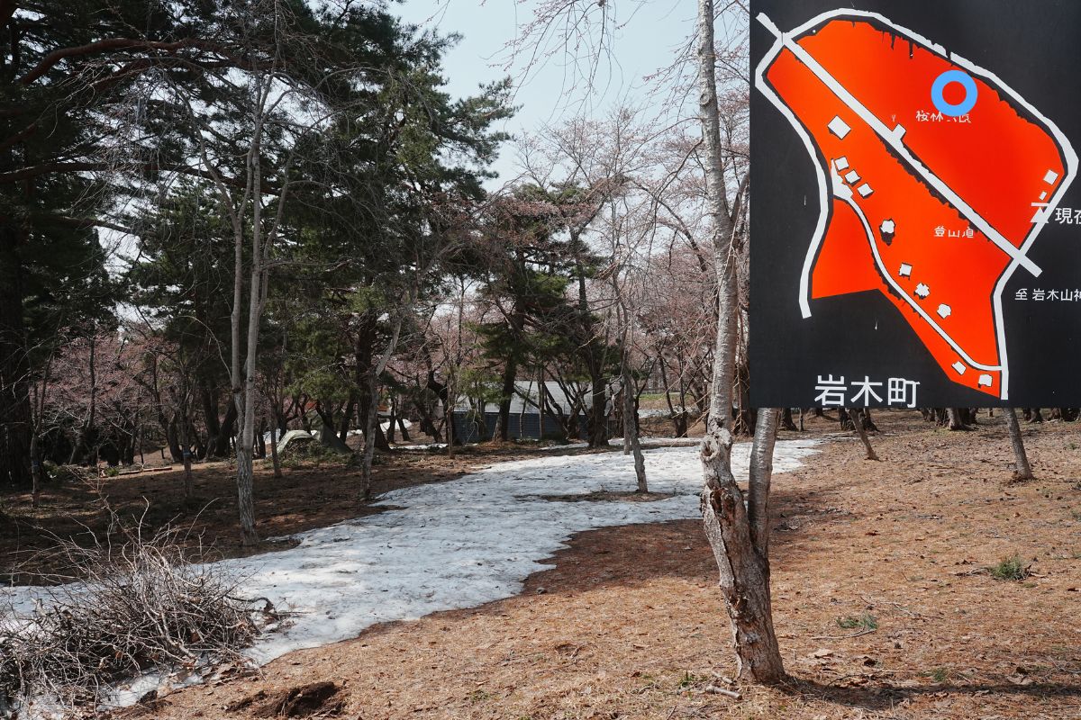 岩木山桜林公園キャンプ場・中段サイト１