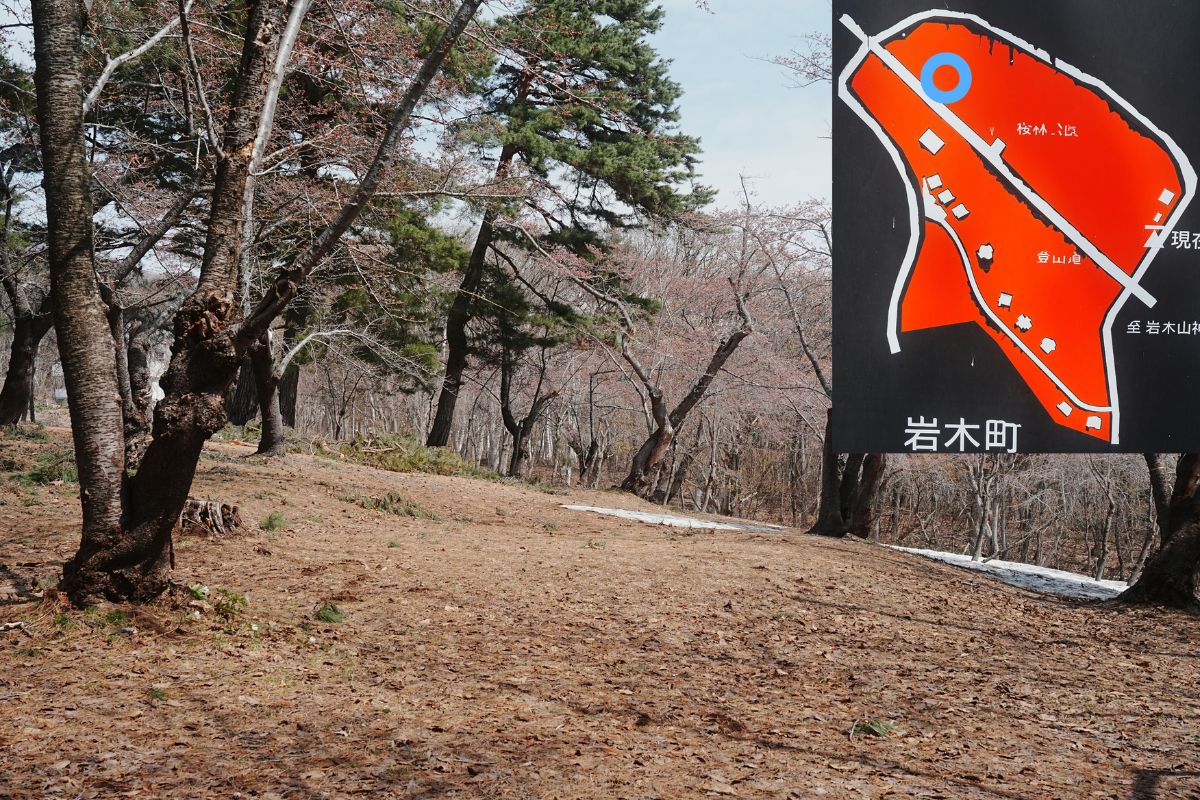 岩木山桜林公園キャンプ場・上側サイト3