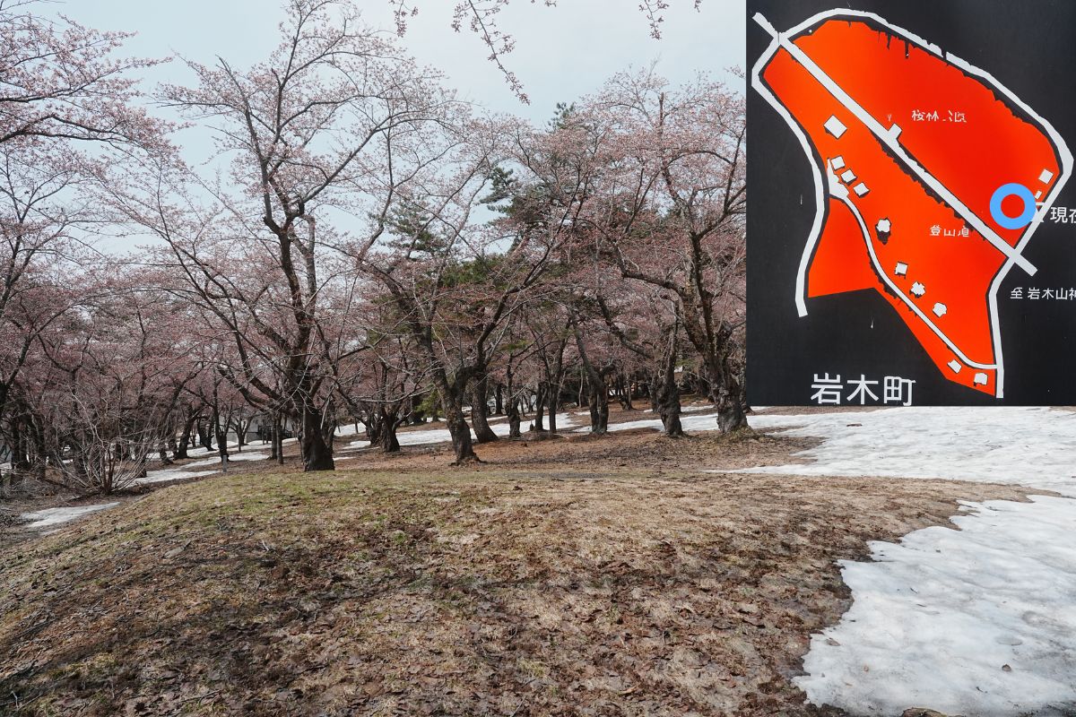 岩木山桜林公園キャンプ場　下側サイト解説２