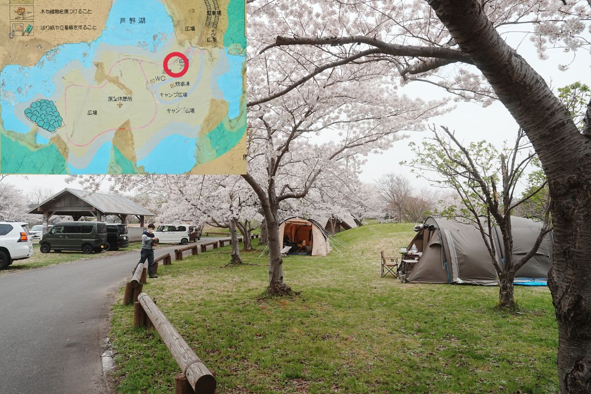 芦野公園フリーサイト解説２