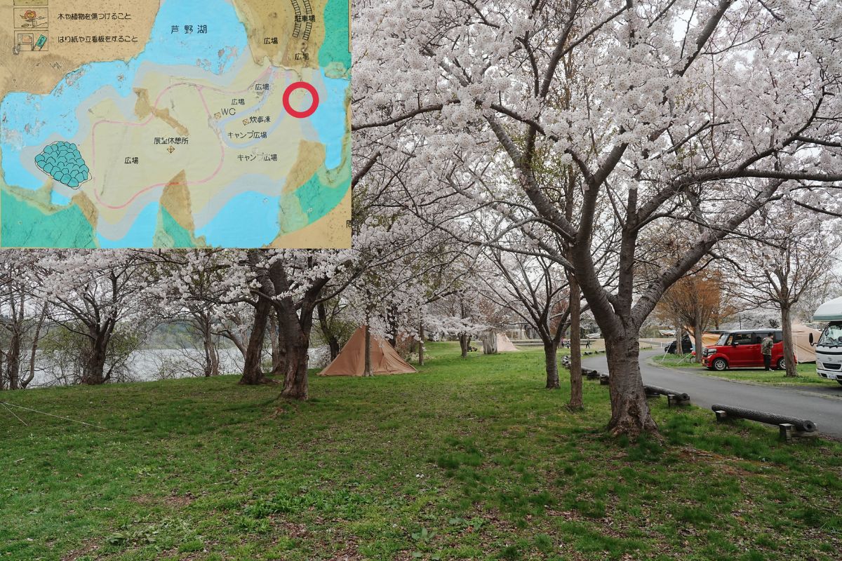 芦野公園フリーサイト解説４