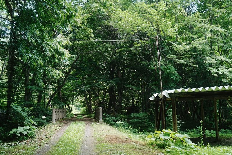 滝ノ沢野営場・通路４