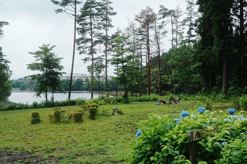 北欧の杜・水辺フリーサイト２