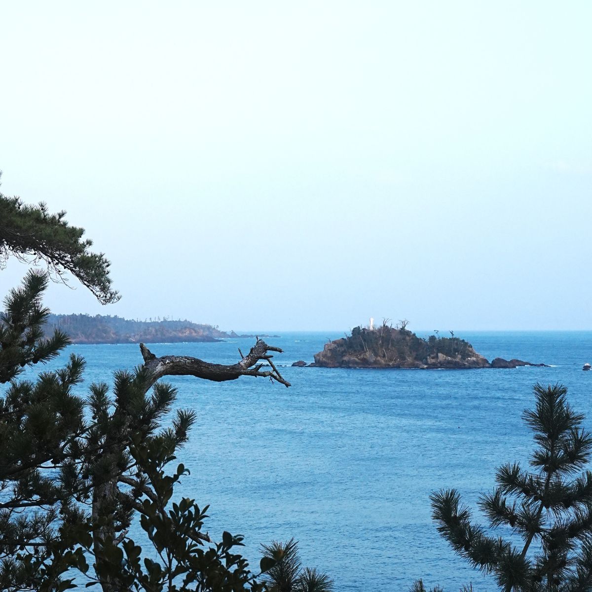休暇村気仙沼大島キャンプ場・景色