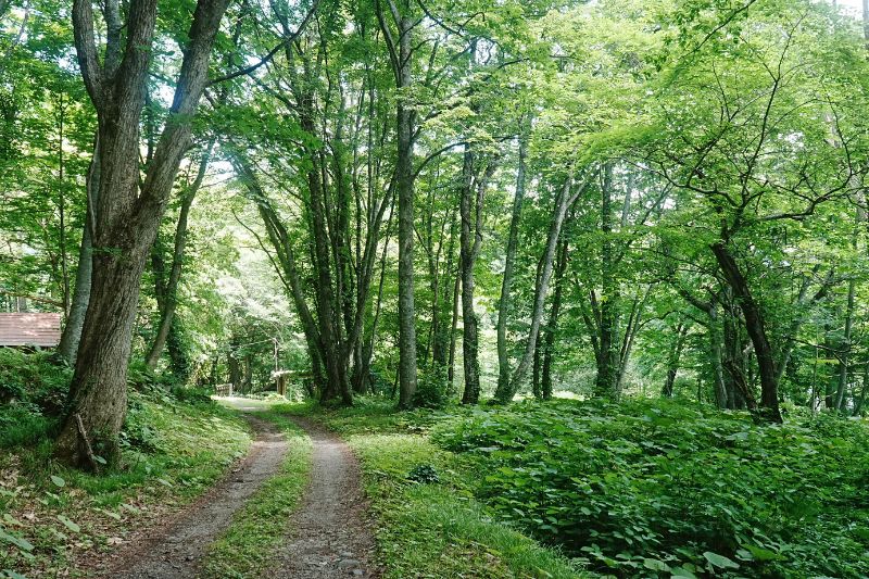 滝ノ沢野営場・通路３