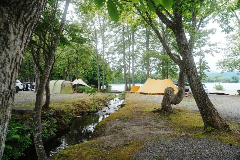 ほとりの遊びば・小川