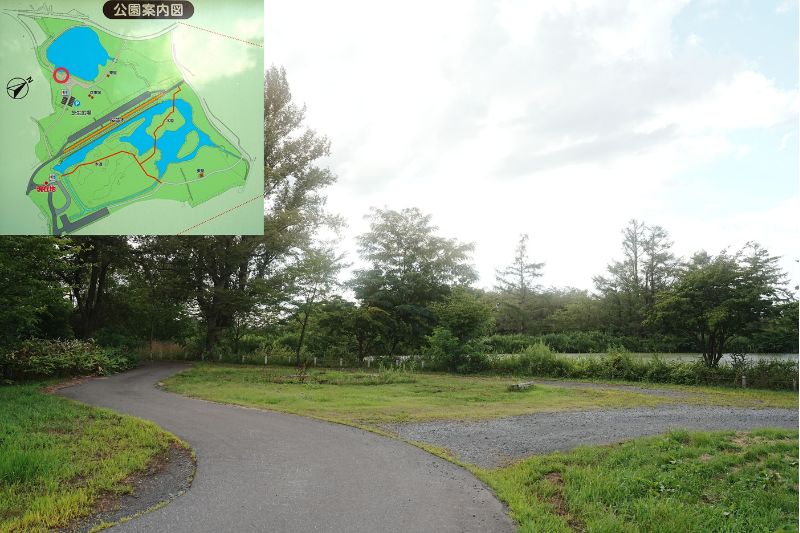 浪岡湿性花園キャンプ場・サイト解説5