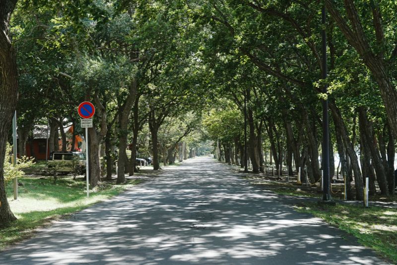 小川原湖畔キャンプ場　道路　場内