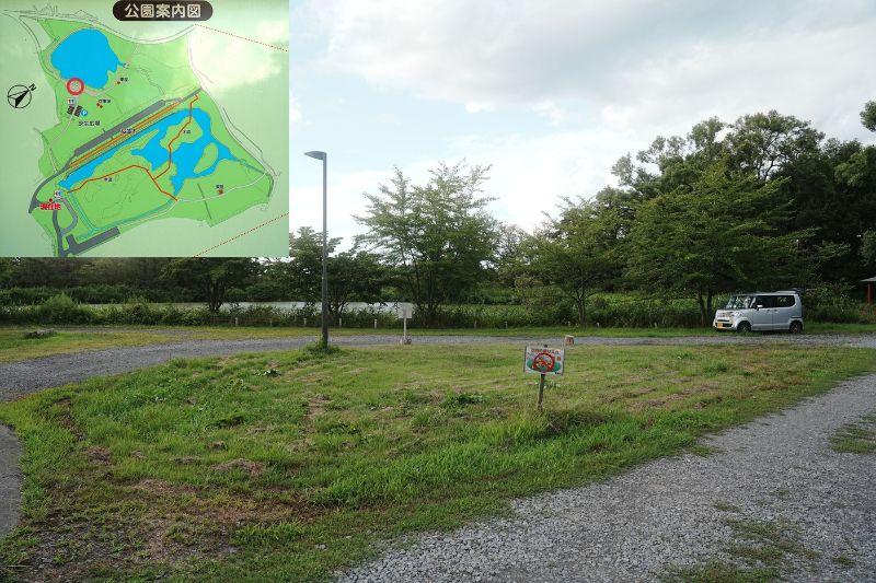 浪岡湿性花園キャンプ場・サイト解説4