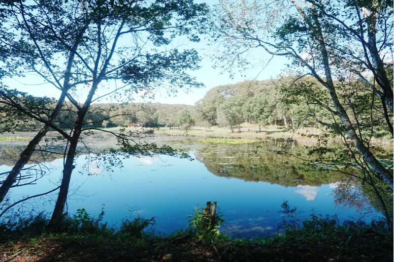 北海道・OHNUMA CAMPBASE ソロサイト 解説4