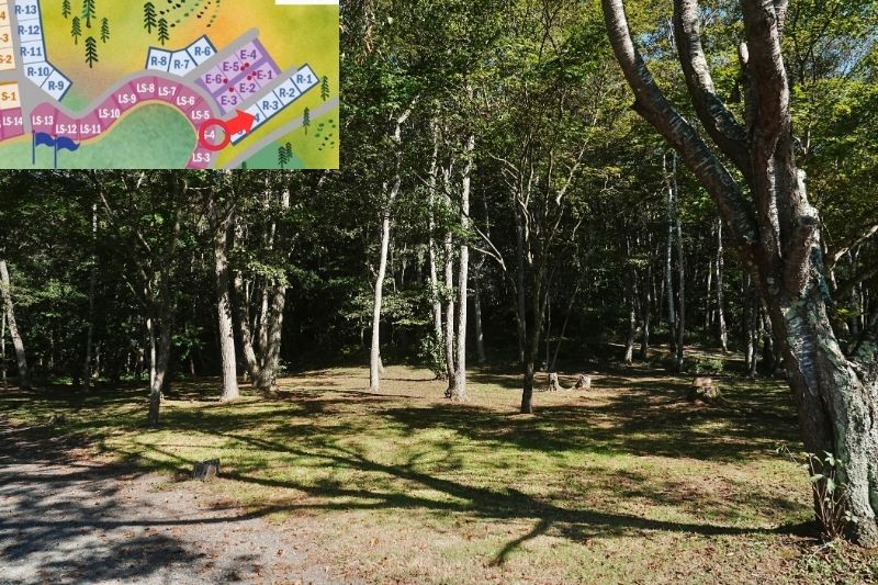 北海道・OHNUMA CAMPBASE 林間エリア 解説1
