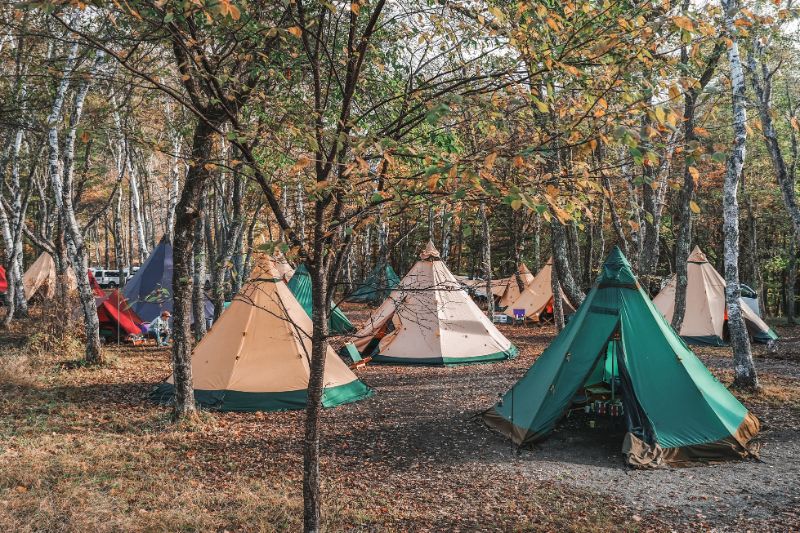 姫木平ホワイトバーチキャンプフィールド　白樺　景色