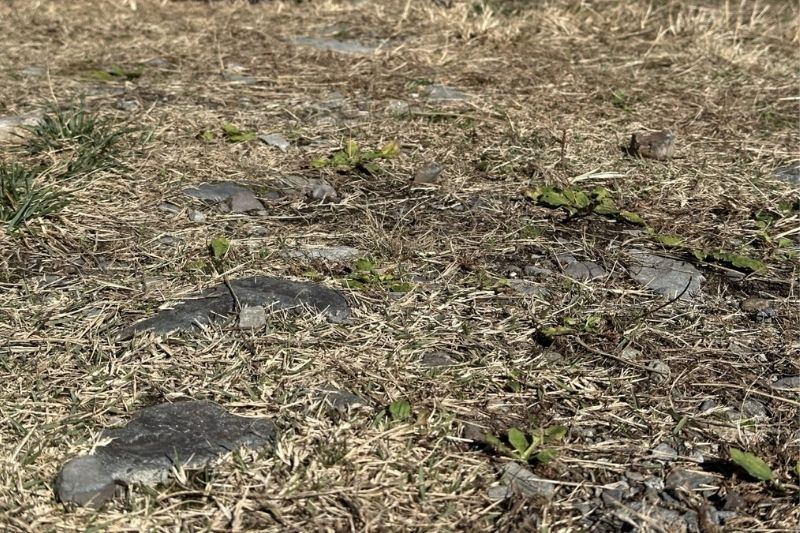 ふもとっぱらキャンプ場 Jサイト解説4