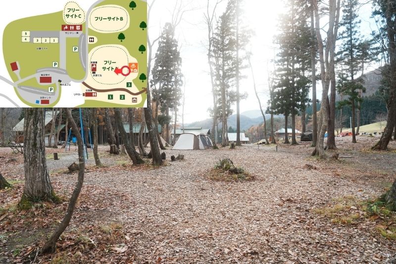 とことん山キャンプ場　フリーサイトA　解説８