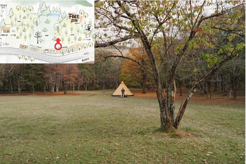 姫木平ホワイトバーチキャンプフィールド　星空サイト（フリー）　解説９