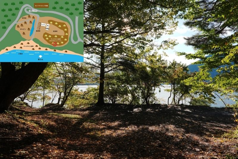 浩庵キャンプ場　林間サイト　解説８