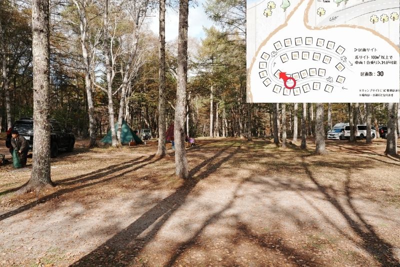 姫木平ホワイトバーチキャンプフィールド　白樺サイト（区画）　解説８