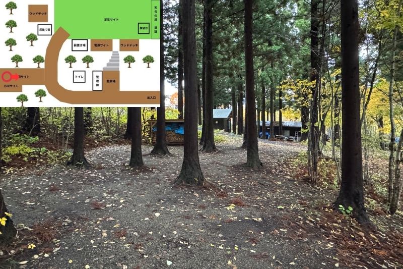 backyard camp　サイト解説　林間サイト３