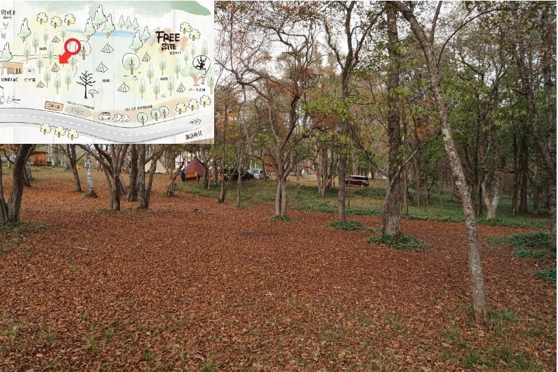 姫木平ホワイトバーチキャンプフィールド　星空サイト（フリー）　解説５